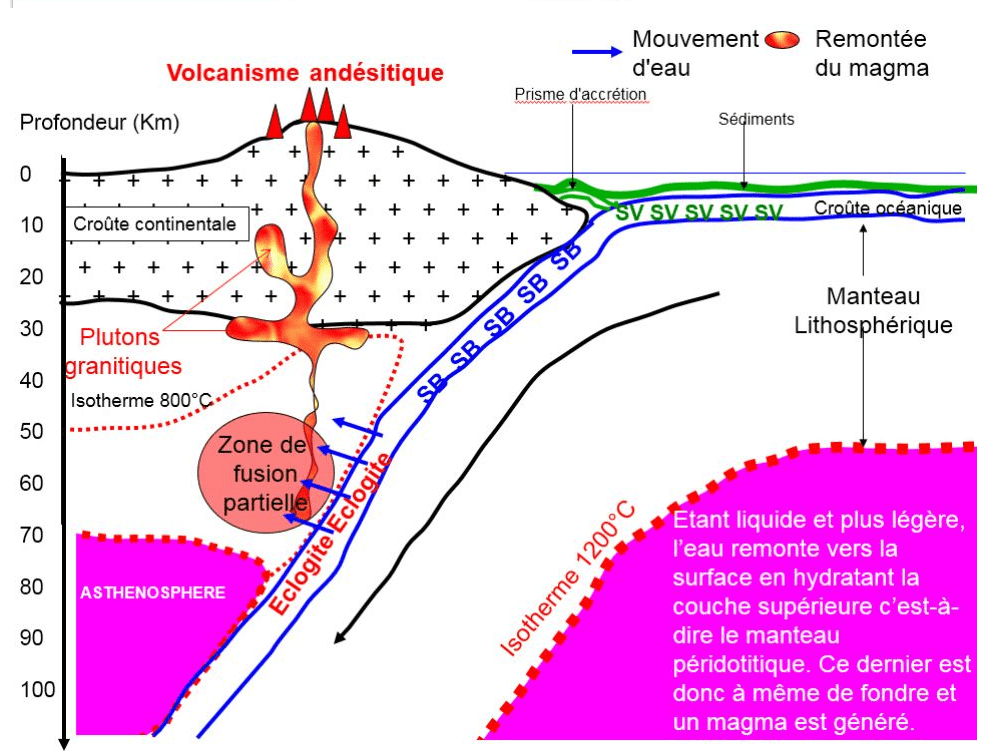 bac SVT 2019 Amérique du Nord sur magmatisme et subduction